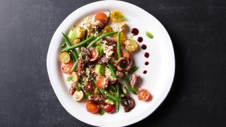Nicoise Salad with Octopus